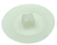 SCREW CAP WHITE IW01